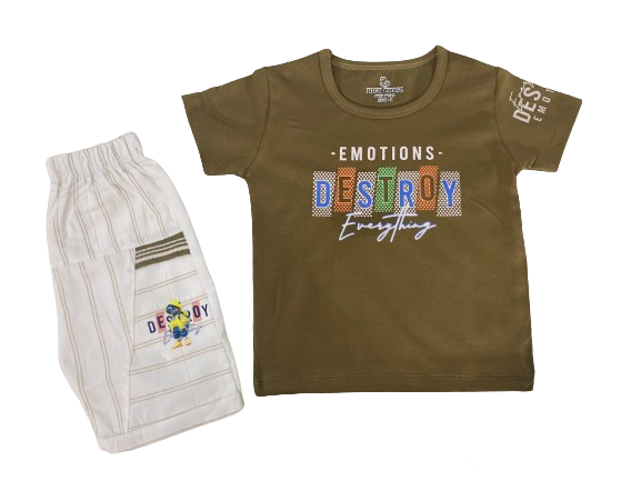 Kids Summer Shorts + T-Shirt