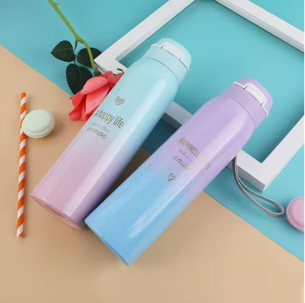 Stainless Steel Thermos Bottles – 750ml